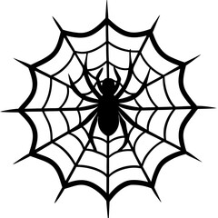 Fototapeta premium spider and web