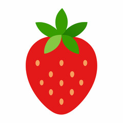 strawberry vector illustration