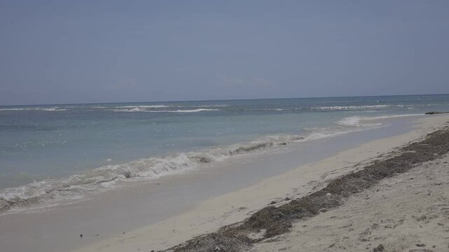 Beach in the morning, Canon oes r, c-log 8bits HD