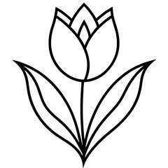 black and white flower