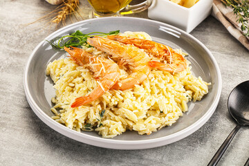 Italian pasta Orzo with prawn