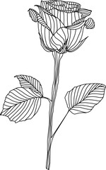 hand drawn flower