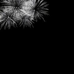 Fototapeta premium Monochrome Fireworks Bursting Brilliance in the Upper Corner Darkness
