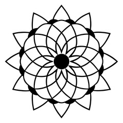 Fototapeta premium black and white flower