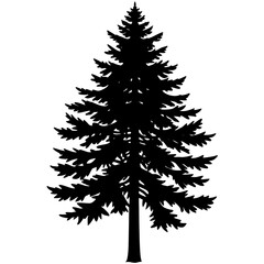 Obraz premium christmas tree set