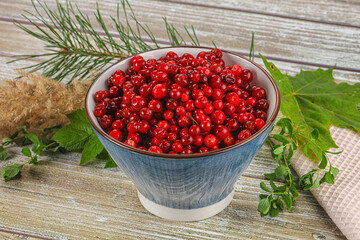 Natural organic wild forwst lingonberry