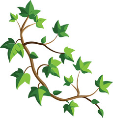  climbing hawthorn plants ivy vine