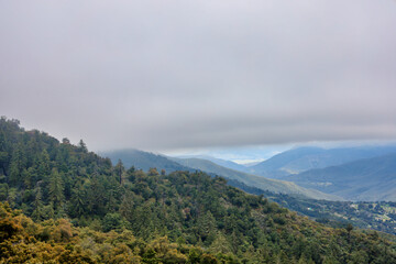 Dense fog over the Palomar Mountains in northern San Diego county in California.