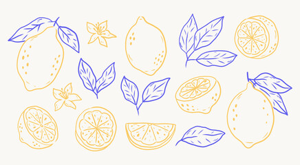 Hand draw different line lemons set collection.