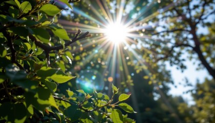 An abstract representation of sunlight filtering through leaves, with dappled light creating a tranquil atmosphere.