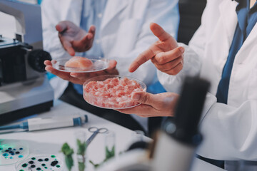 Team Asian scientists in a lab conducting food research using a microscope and lab equipment,...