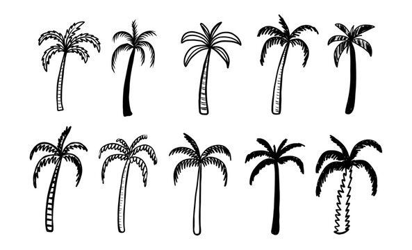 Set of hamd draw doodle palm set