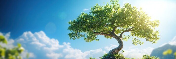 Lush Green Tree Against a Sunny Blue Sky