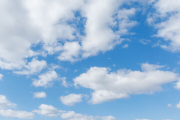 Blue Sky with Clouds and Bird Soaring High