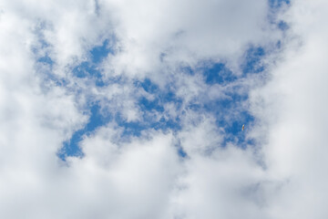 Blue Sky with Clouds and Bird Soaring High