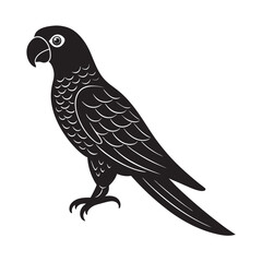 Isolated hyacinth macaw's silhouette of a wild raptor with detailed feathers perched on a branch
