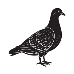 A white dove, a symbol of peace, with delicate feathers isolated against a clean background