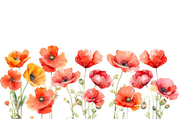 Watercolor flowers background vector for design.