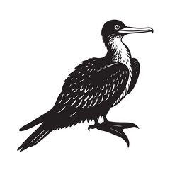 Obraz premium Magnificent frigatebird silhouette illustration