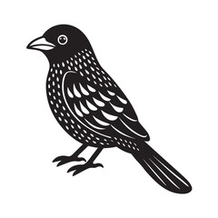 Pangled cotinga bird silhouette, a wild nature vector art