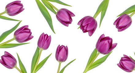 Purple Tulip Dance AI Generated