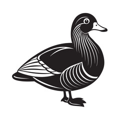Fototapeta premium Isolated wild mandarin duck., a vector illustration of a duck with black and brown feathers