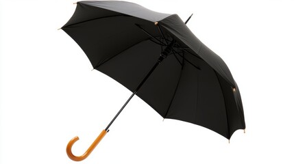 Black umbrella with wooden handle opened to provide shelter during a rainy day in a city park surrounded by greenery, isolated on white background