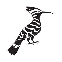 Vector  hoopoe silhouette, wild bird art © MA