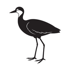 Obraz premium Black and pink birds silhouette, African jacana vector art, isolated wildlife