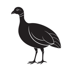 Black and white vector kagu portrait, a wild bird with detailed feathers