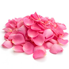 Obraz premium Pink rose petals on white background