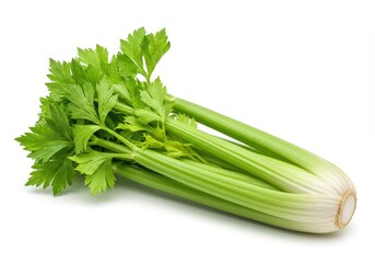A bunch of fresh celery stalks with green leaves lying on a plain white surface in a studio shot