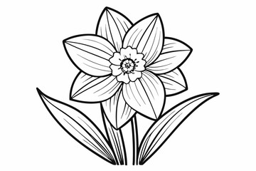 Obraz premium coloring page line art the daffodil black vector