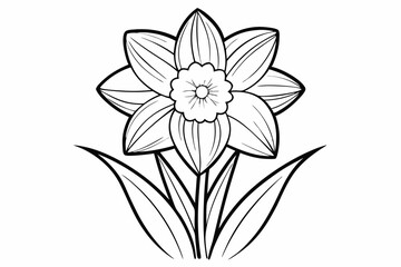 coloring page line art the daffodil black vector