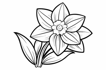 Obraz premium coloring page line art the daffodil black vector