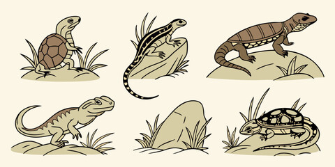 Cartoon Line Art Illustration Lizards and Turtles on Rocks and Grass