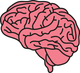 Pink Brain: Anatomical Thinking Concept Vector Design