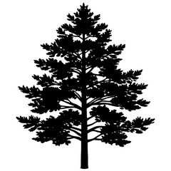 Minimal style cad tree line drawing, Side view, set of graphics trees elements outline symbol for architecture and landscape design drawing.