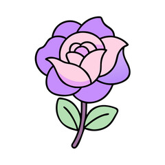Pretty Purple Pink Rose Flower Illustration Graphic Design
