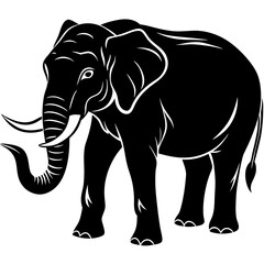 Obraz premium elephant vector illustration