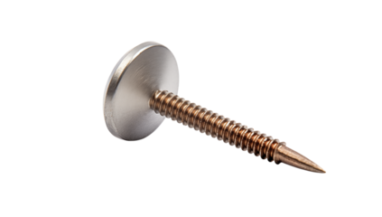 A macro shot showcasing a single screw with a large silver head on a  in sharp focus on transparent background png