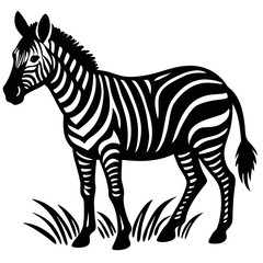 Obraz premium zebra cartoon vector illustration