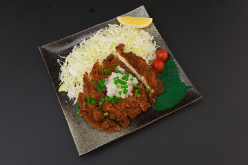 チキンカツ　大根おろし　皿盛り　Chicken cutlet with grated daikon radish on a plate