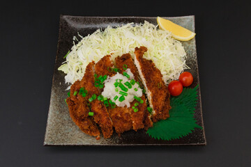 チキンカツ　大根おろし　皿盛り　Chicken cutlet with grated daikon radish on a plate