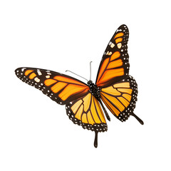 Fototapeta premium Monarch Butterfly Flying on Transparent Background
