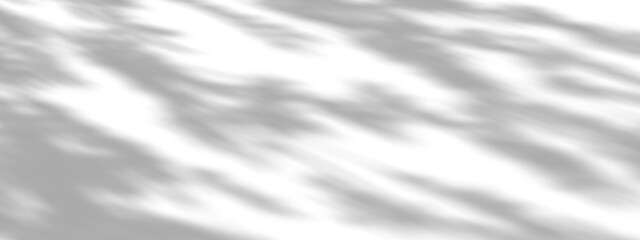 Naklejka premium Serenity tree branch leaves shade overlay cut out backgrounds 3d render png