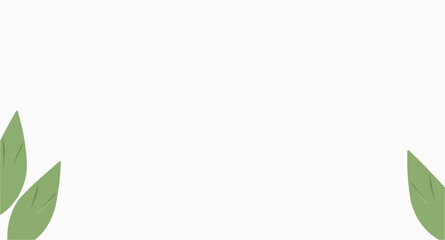 four green leaves on white background