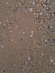 Ground natural background.