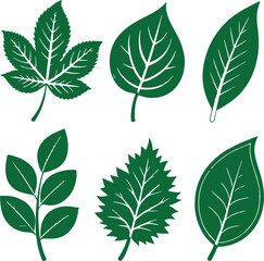 Green Leaf Icons Set – Eco Nature Symbol Collection on White Background Vector
