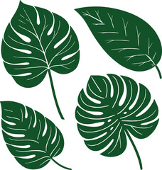 Green Leaf Icons Set – Eco Nature Symbol Collection on White Background Vector